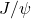 J/\psi