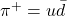 \pi^{+} = u \bar{d}